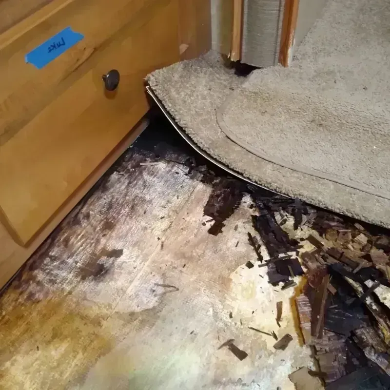 Wood Floor Water Damage in Glen Gardner, NJ